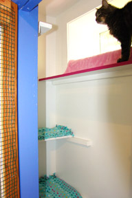 Standard_suite